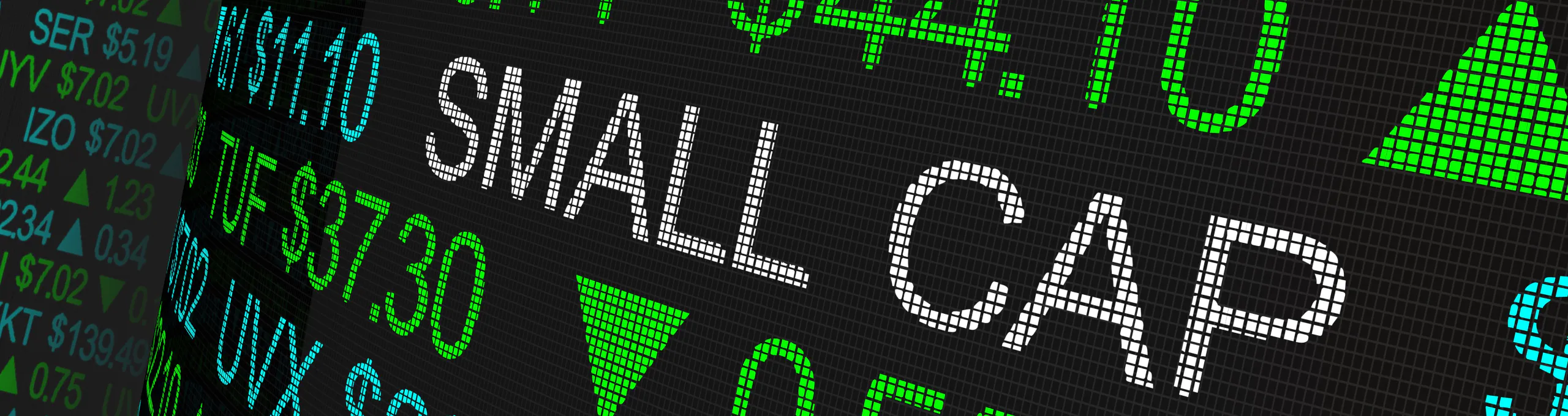 SmallCap Discovery Hero